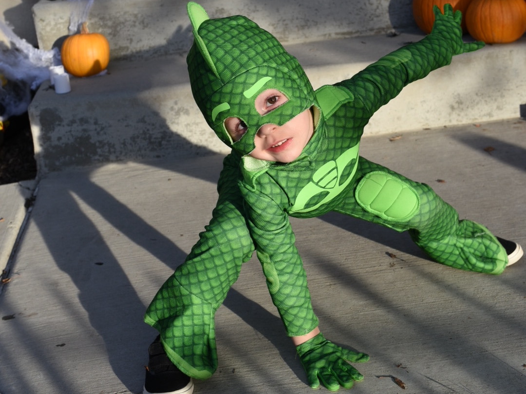 Kitt dressed up like Gekko